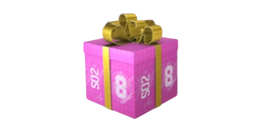Gift Case | Prime 8 Years