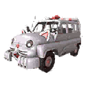 Cars | Cute Kitten